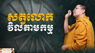 សត្វលោកវិលតាមកម្ម | SAN SOCHEA OFFICIAL