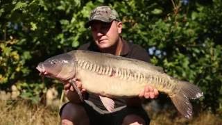 Solid Bag Tail Rubbers - Team Korda