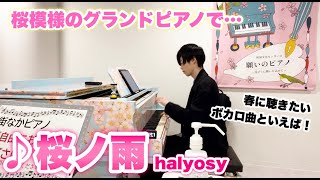 桜模様のストリートピアノで「桜ノ雨/halyosy」演奏したら映えすぎた