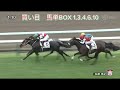 競馬検証動画〜1〜夏競馬だからこそ1番人気を切って2〜6番人気の馬単boxを買ったら勝てる説を検証！！！