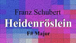 Heidenröslein by Franz  Schubert - Piano accompaniment - F# Major