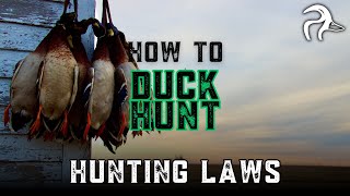 Duck Hunting Laws | How To Duck Hunt (Ep. 05)