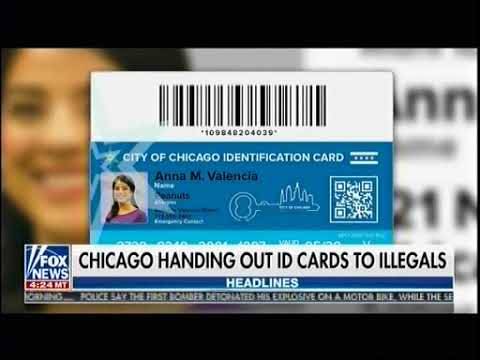 Chicago Handing Out ID Cards To Illegals - Fox & Friends Chicago Handing Out ID Cards To Illegals - Fox & Friends