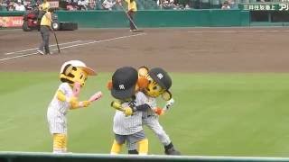 阪神タイガース2016/トラッキーとキー太の熱きレスリングバトル【トラッキーネタ】（2016.9.17)