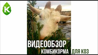 Комбикорм для коз КК-85