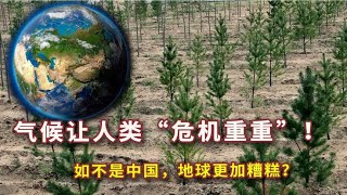 超1.5万名科学家再次警告！气候危机已来，如没中国，地球或更糟