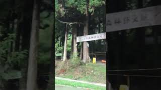 新竹縣尖石鄉 司馬庫斯 新光國小 森林小學 台灣杉 Hsinchu, Taiwan