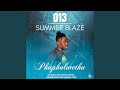 013 Summer Blaze (Track mix Version)