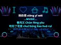 Wang Shi Zhi Neng Hui Wei Remix Karaoke