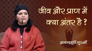 जीव और प्राण में क्या अंतर है? | Anandmurti Gurumaa