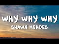 Shawn Mendes - Why Why Why (Lyrics)