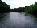 Fossiling the Edisto river No. 4