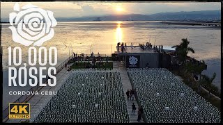 10,000 ROSES CORDOVA CEBU AERIAL SHOT