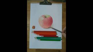 Drawing Spiral Stairs   How to Draw 3D Caracole   Anamorphic Corner Art   Vamos 14
