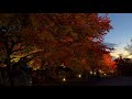 会津の紅葉】磐梯山慧日寺資料館【紅葉と光の中で】4k