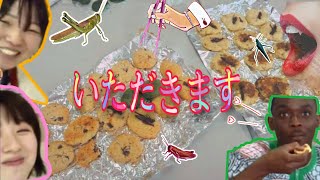 【第二回】美味い◎栄養◎昆虫使ったお菓子を考えろ!