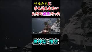 【黒神話：悟空】猿軍団に崖っぷちに追いやられて...青背龍のメンツがもたん。。