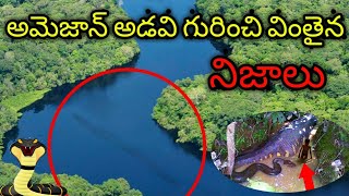 అమెజాన్ అడవి గురించి వింతైన|| mysterious and unbelievable facts about Amazon rainforest by Madhu