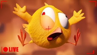 🔴 LIVE CARTOON | WHERES CHICKY | 🐥 Desenho Animado em português | Live Stream