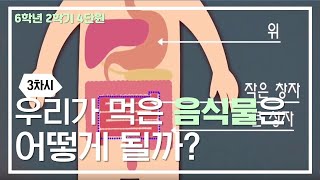 [초등과학, 실험, 인강] 6학년 2학기 4단원 3차시 우리가 먹은 음식물은 어떻게 될까요?