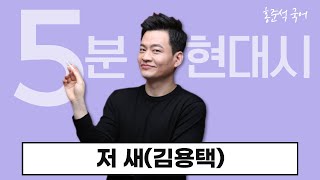 홍준석의 ‘5분 현대시' / 저 새(김용택)[2024수능특강] #필기본다운로드