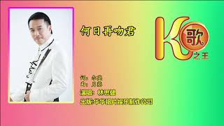 何日再吻君        演唱：林思健【林思健经典金曲CD集 第21首】