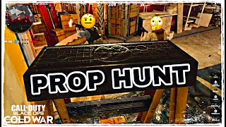 FUNNY PROP HUNT MOMENTS!! (COD BLACK OPS COLD WAR GAMEPLAY)