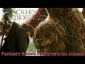 Fantastic Beasts 2 (2018) All creatures scenes | Final Battle with Grindelwald