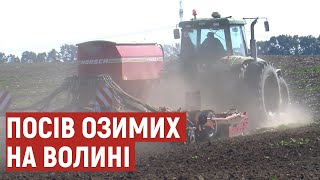 Польові роботи на Волині: фермери сіють озимі, одноосібники збирають врожай