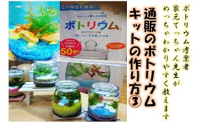 【通販ボトリウムの作り方⓷】いよいよお魚！完成記念、感動のライトアップ！