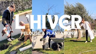 Que faire au jardin en hiver, haies, pelouse, plantations d'arbustes