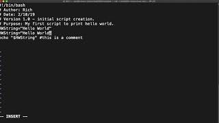 Shell scripting 101: Using variables