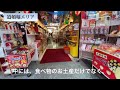 【大阪難波】都会すぎる！再開発エリアや観光スポットを街歩きでご案内！