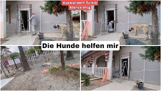 Kangal Hunde immer mit dabei | Haus restaurieren in Alanya Vlog | Auswandern Türkei 9. Januar 2025