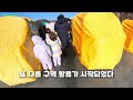 평창송어축제 텐트터 얼음낚시 아무것도 모른채 처음 해봤더니....