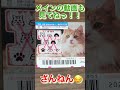 宝くじ 【わんにゃんスクラッチ】 高額当選 目指して 毎日スクラッチ チャレンジ 大当たり への道 439日目 shorts lottery