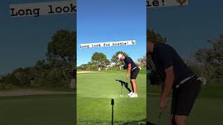Not a hole in one, but a par nonetheless! #golf #golfclub #golflife #golfswing #shorts #shortvideo