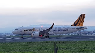 台灣虎航A320neo彩繪機 B-50021 台北松山機場起飛 Airbus A320neo Special Livery