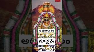 Chaganti Pravachanam 47| అరుణాచలం ఒక కొండ మాత్రమే కాదు|Arunachalam|#chaganti #tiruvannamalai #shiva