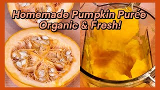 How to Make Pumpkin Purée from Organic Homegrown Pumpkins