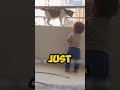 “hero cat stops little boy from climbing balcony 🐾😱”