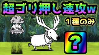 開眼のちびネコノトリ   特性？そんなの関係なしw  アイツで超ゴリ押し速攻   にゃんこ大戦争