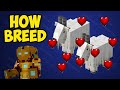 MINECRAFT How to Breed GOAT (2024)