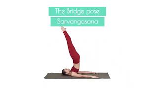 Videomaker | Sample Video - Yoga Poses