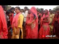 ऐ झामरू ऐ झामरू । e jhamru e jhamru। viral tirghal and vikram chouhan new adivasi video dance video