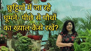 गर्मी में घर से बाहर जा रहे हैं- पौधों का क्या करें? || How to Take Care of Plants When You Are Away