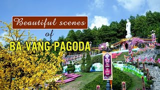 Beautiful Scenes of Ba Vang Pagoda