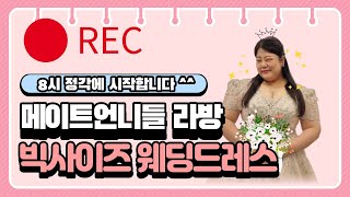 [통통한 예비신부 집중!] 메이트언니들과 함께 빅사이즈 웨딩드레스 예쁘게 입자!