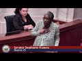 Sen. Flowers says she won't apologize for comments against 'Stand Your Ground' bill