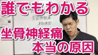 誰でもわかる坐骨神経痛の本当に原因！　埼玉　春日部　整体院　優-YU-